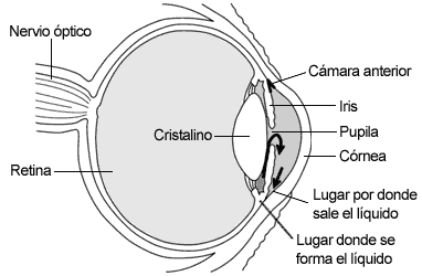 Imagen representativa con información sobre el ojo